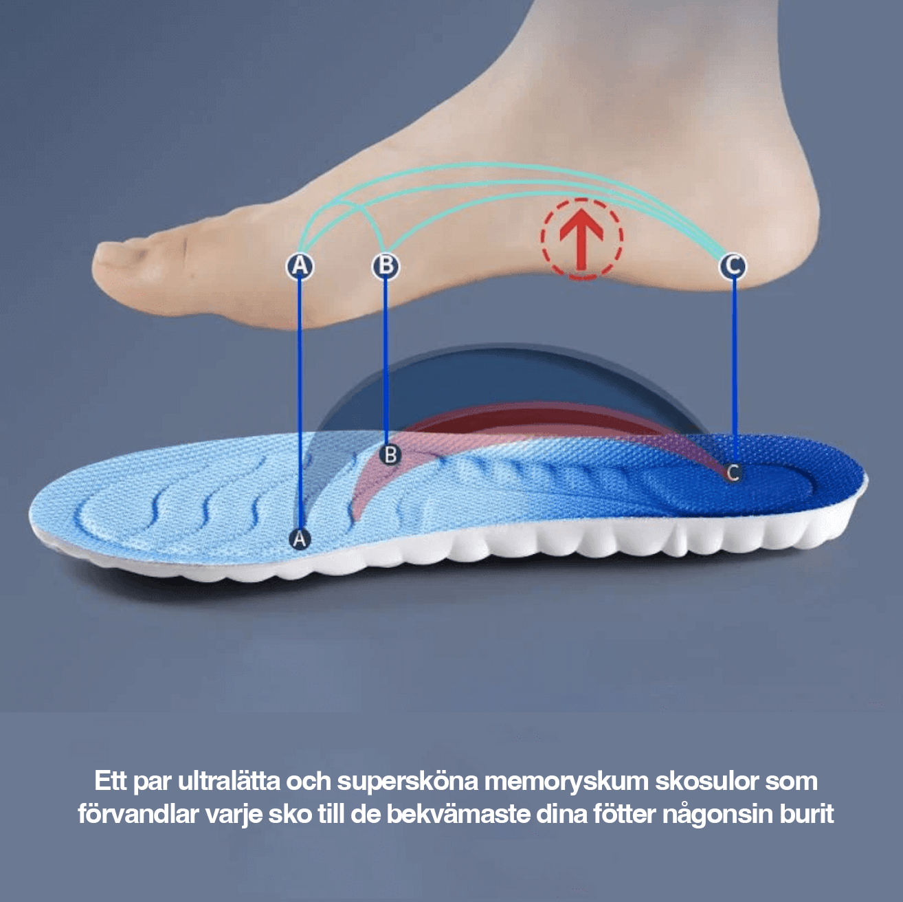 Skoinlägg placerade i sko för daglig användning