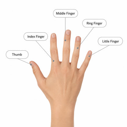 Illustration av handens fingrar som visar vilka fingrar en justerbar fingerskena kan användas på: tumme, pekfinger, långfinger, ringfinger och lillfinger.